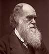 Darwin John G Murdoch Portrait Restored